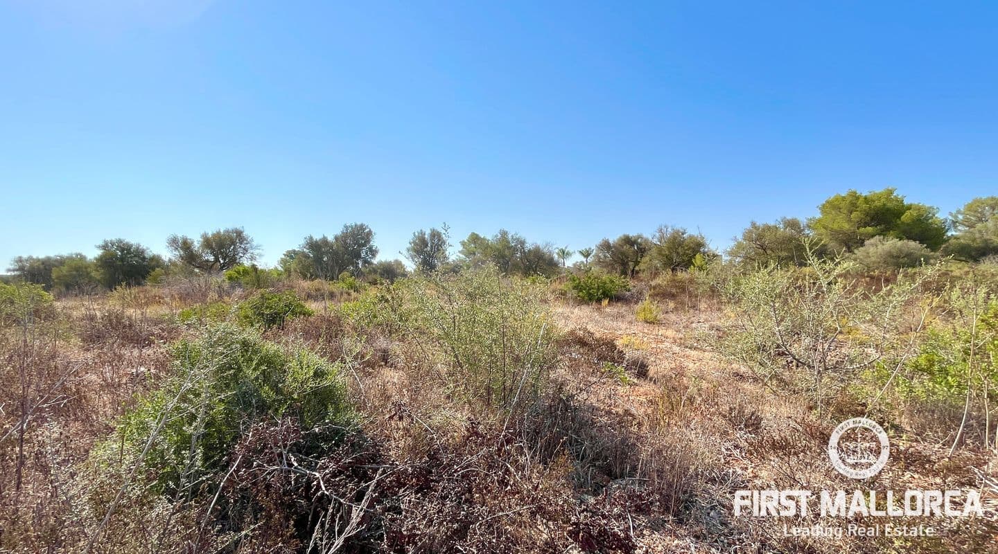 Expansive Buildable Plot in Desirable Son Gual II