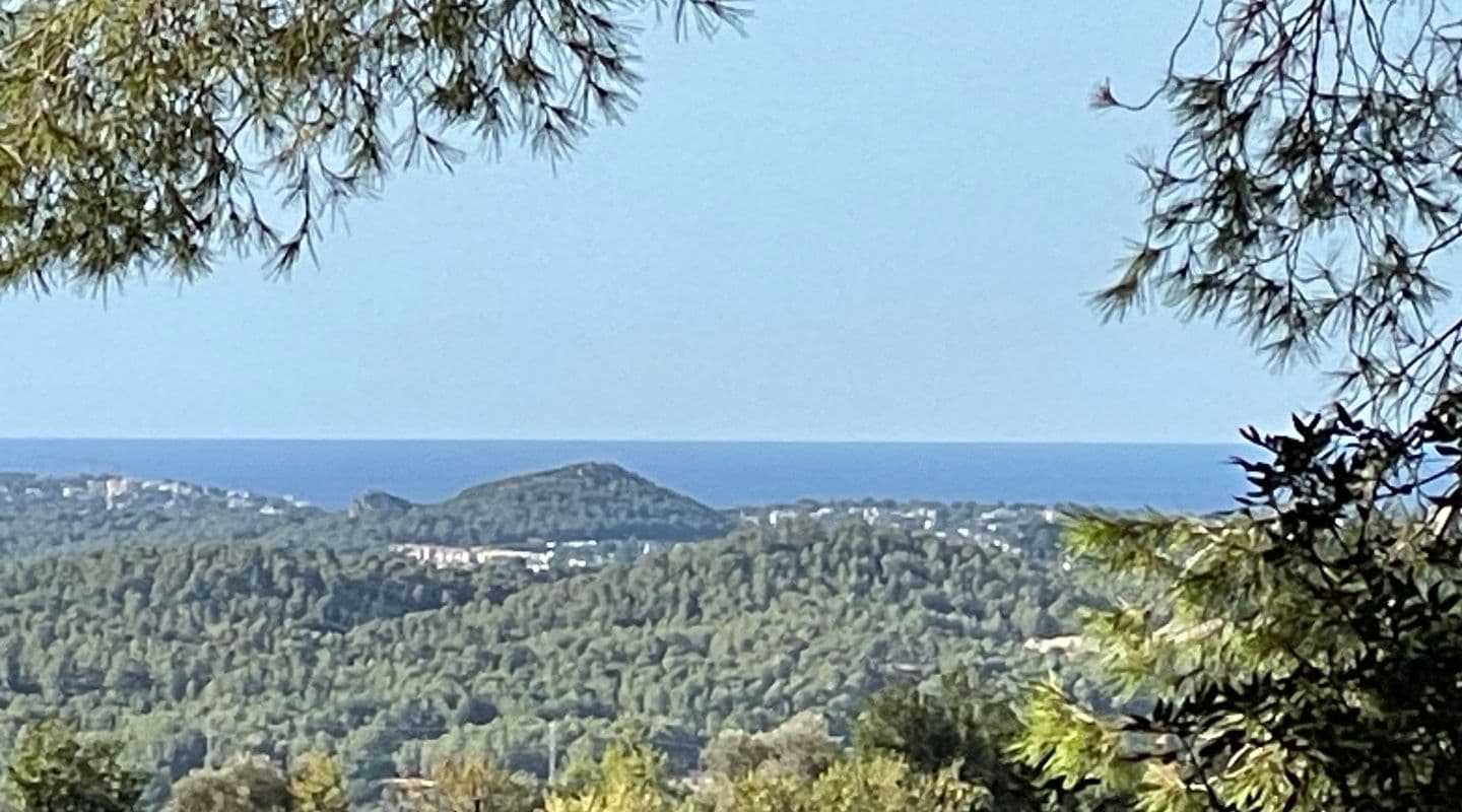 Charming Rustic House with Partial Sea Views in Calvià