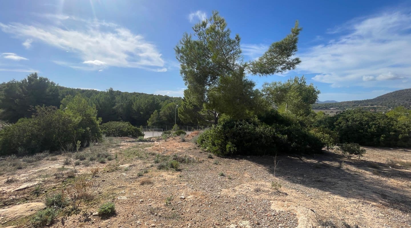 Exceptional Building Plot with Scenic Mountain Views in Cala Vinyas