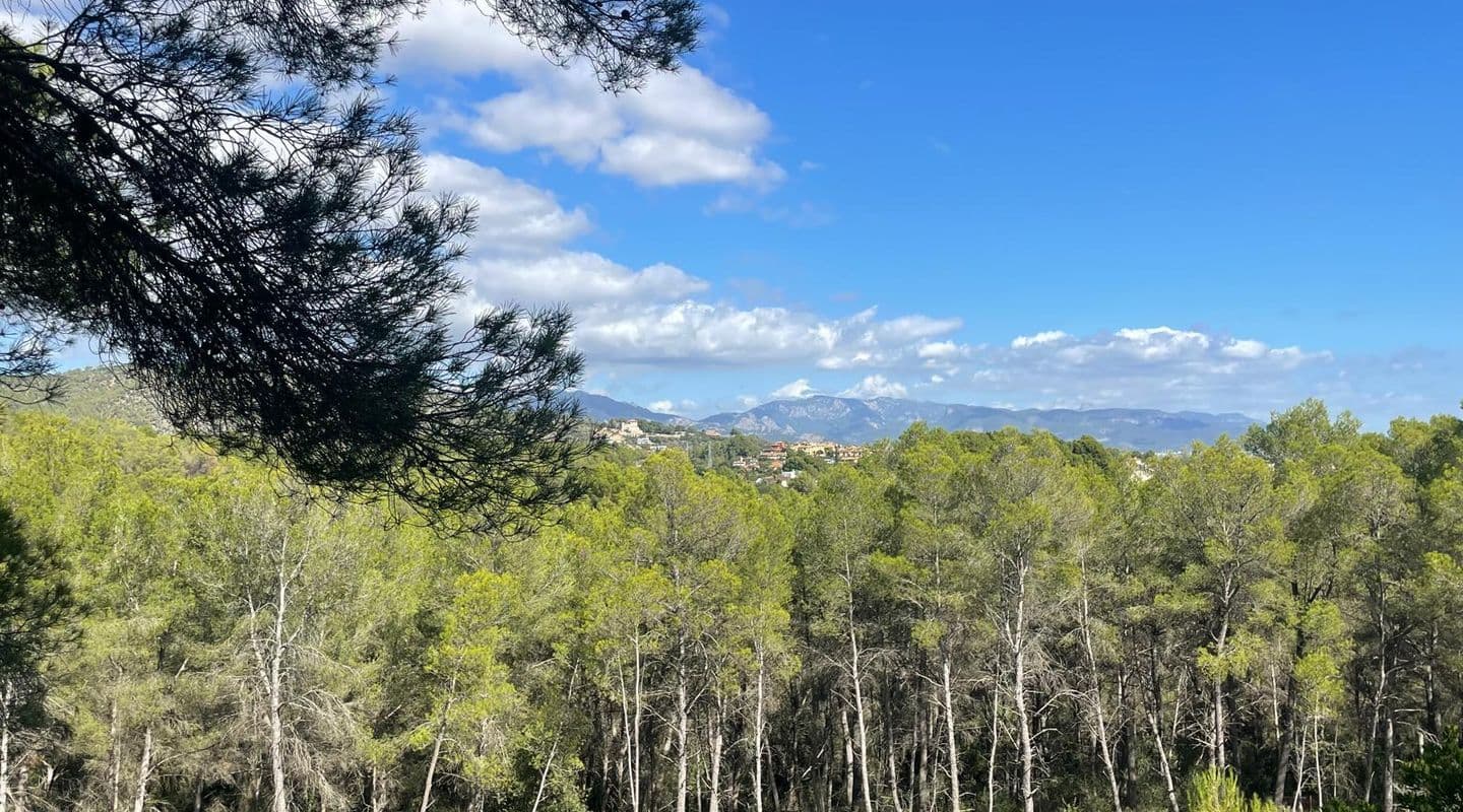 Exclusive Plot with Stunning Views in Son Vida