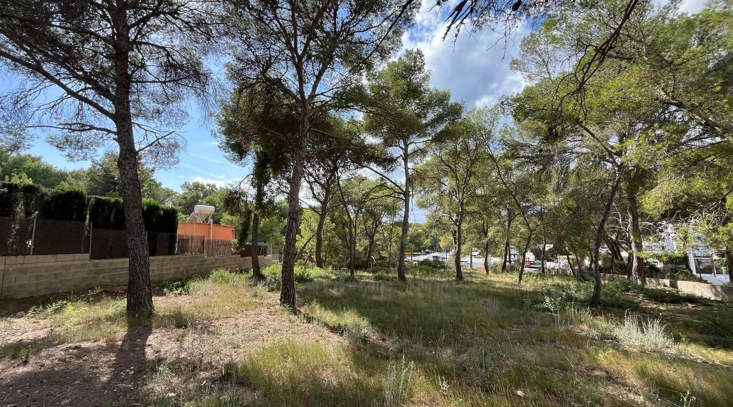 Buildable Plot with Sea Views near Santa Ponsa Marina