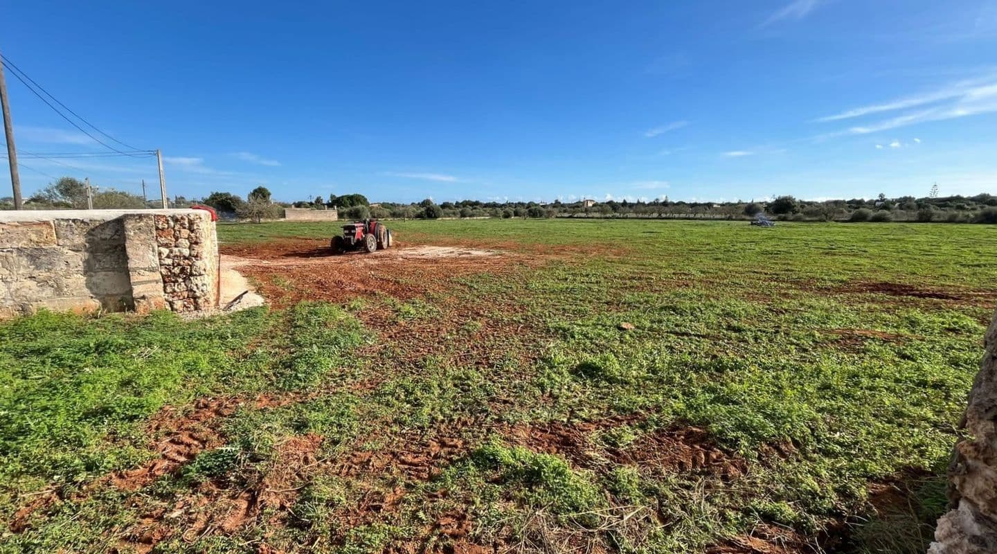 Approved Building Plot Near Beaches in S’Illot