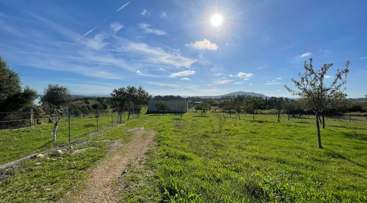 Spacious Building Plot with Approved Licence in Moscari