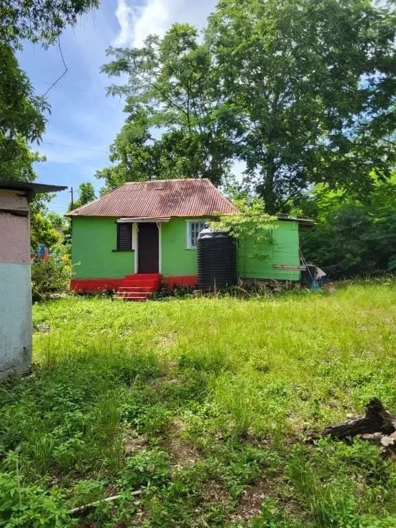 Homes in Jamaica